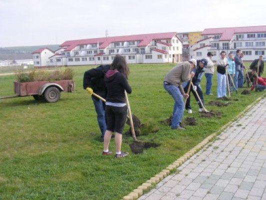 Localităţile Mangalia şi Eforie, incluse de Lidl în programul de împădurire